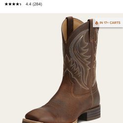 Ariat Boots 