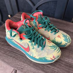 Men’s Nike Lebron Size 9