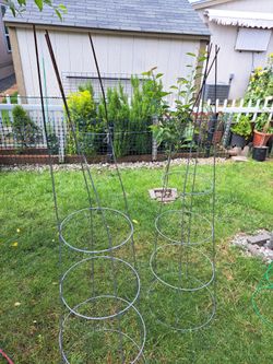 For tomatoes
