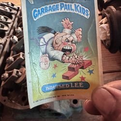 Garbage Pal Kids Bruised Lee Card 