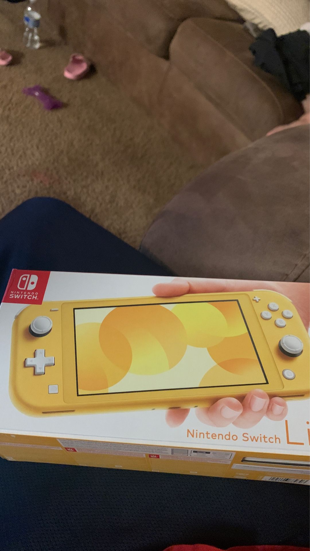 Nintendo switch lite