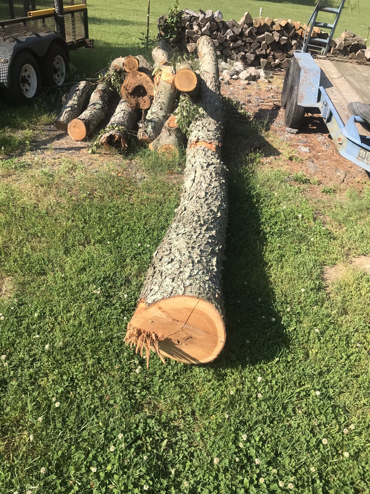Cherry wood log (make offer)