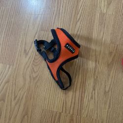 Small Dog Harness 