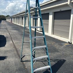 Werner Type 1 Fiberglass Ladder
