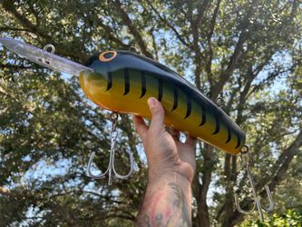 Rare 18” Rapala Fishing Lure Display