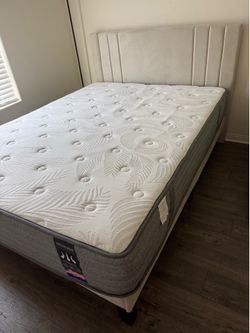 Queen Bed frame and mattress