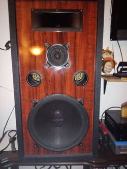 18 inch Woodgrain speakers