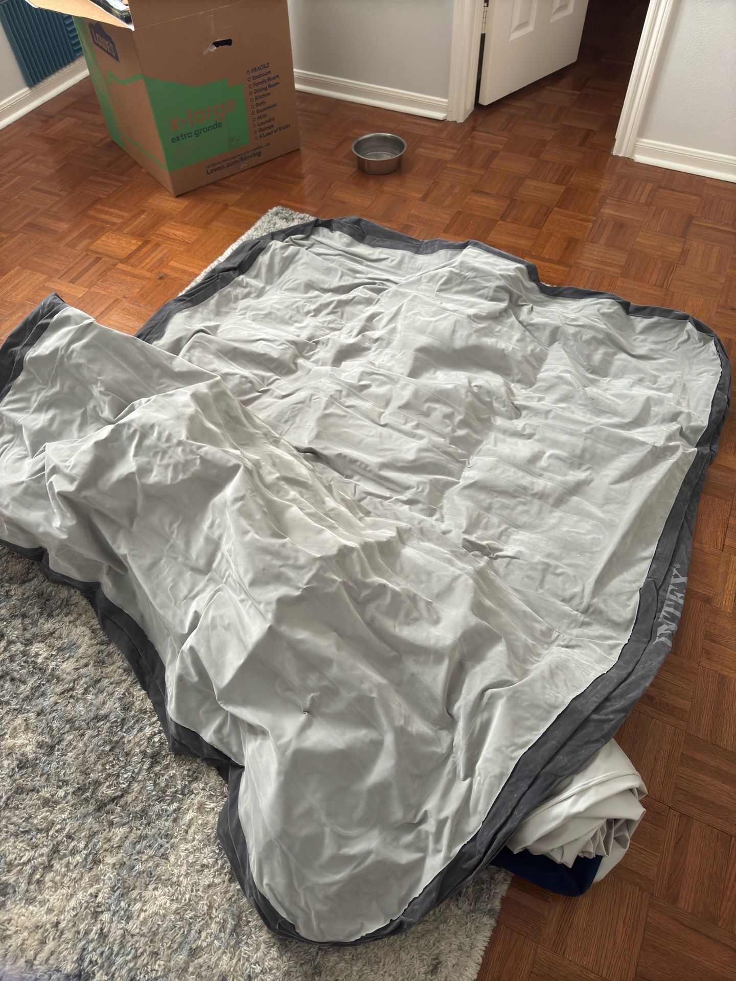 Intex Queen Air Mattress