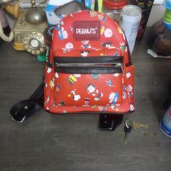 Peanuts Bag,No Set Price . Goes To Best Offer