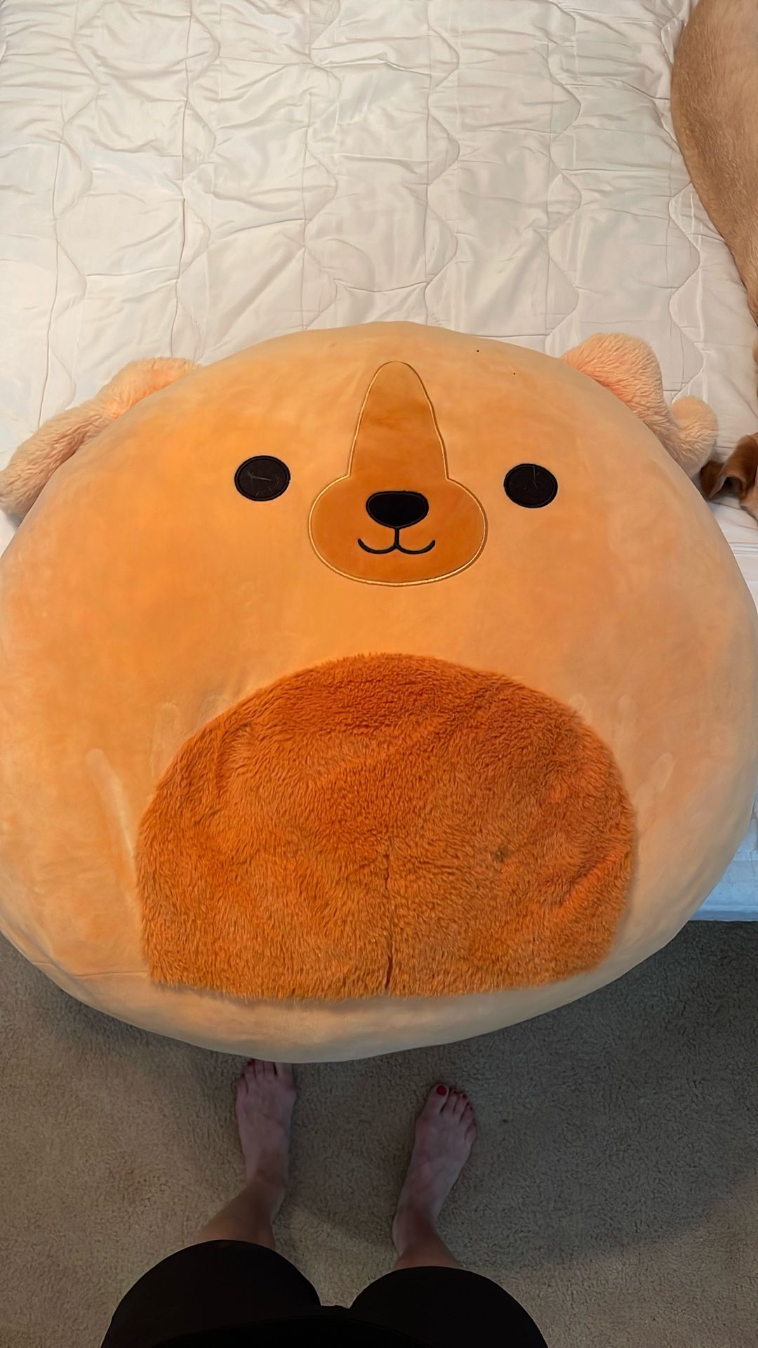 Super Sized Squishmallows
