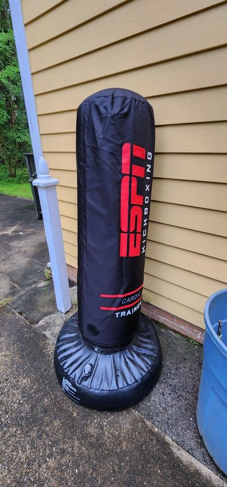 ESPN Punching Bag