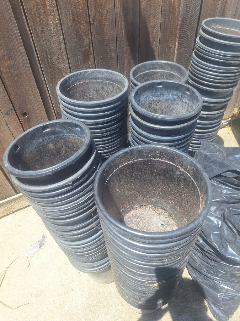 Planting Pots
