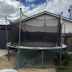 Backyard Trampoline – Family Fun!