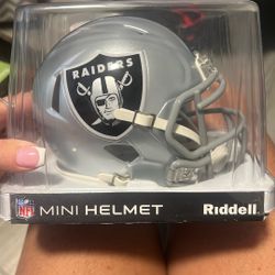Raider Mini Helmet  SPEED