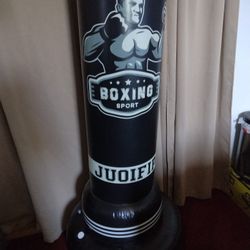 Inflatable Punching Bag