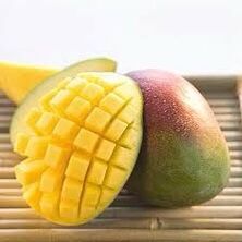 25g Carrie Mango Tree