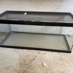 30 Gallon Terrarium – Great Condition 🦎🌿