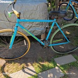 Fixie Bike Ridgeland