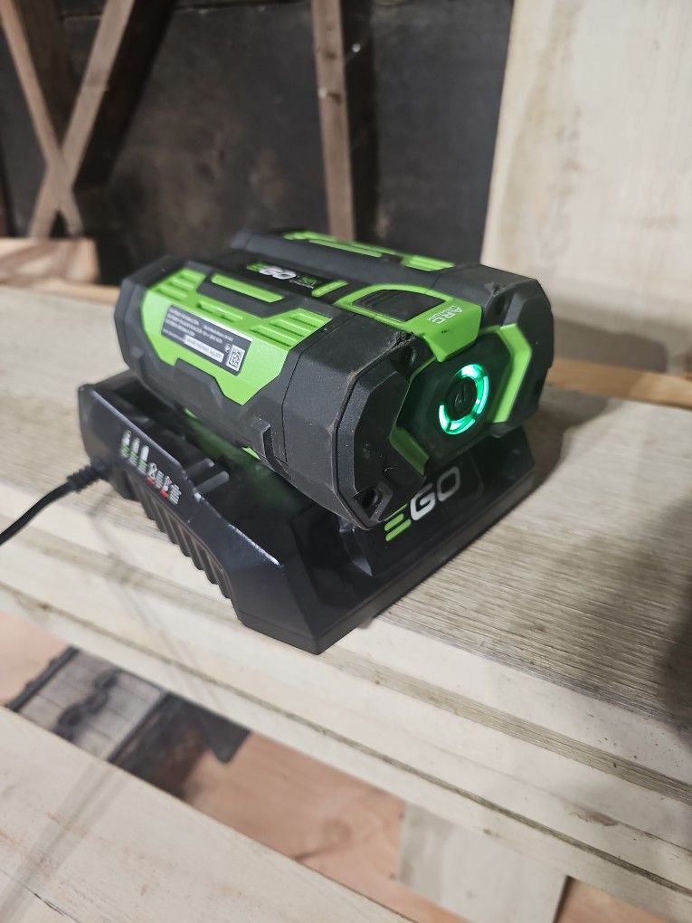 GO CHARGER 56 V WITH BATTERY