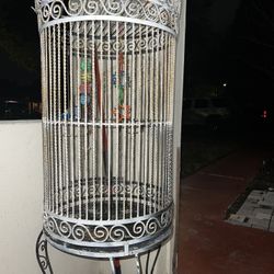 Bird Cage