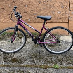 Next Elevation Mountain Bike