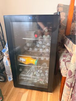 Cooler refrigerator