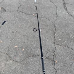 New Diawa Spinning Fishing Rod 