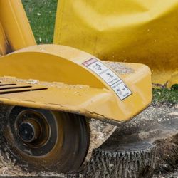 Stump Grinding