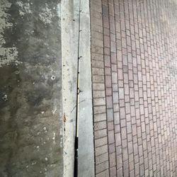 Medium-heavy Rod 8ft