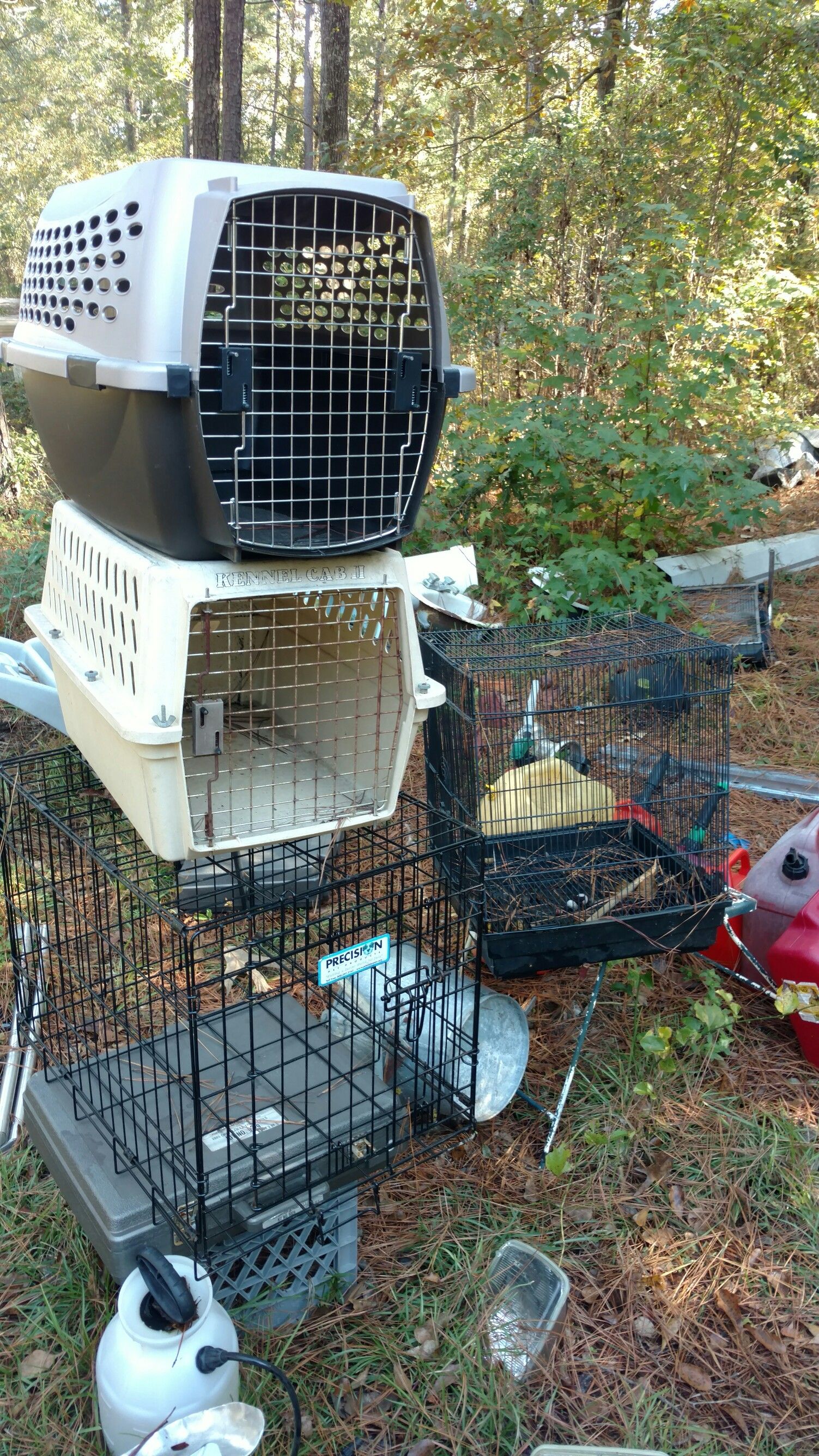 Kennel