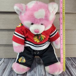 Chicago Blackhawks Build A Bear 