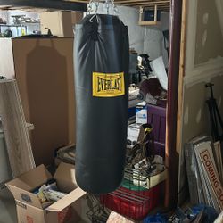 EVERLAST HEAVY BAG