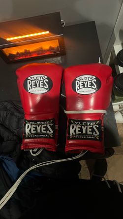 celo reyes boxing gloves