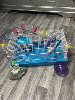 Hamster cage