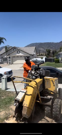Stumps REMOVAL
