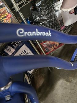 Girls Or Boys Bike