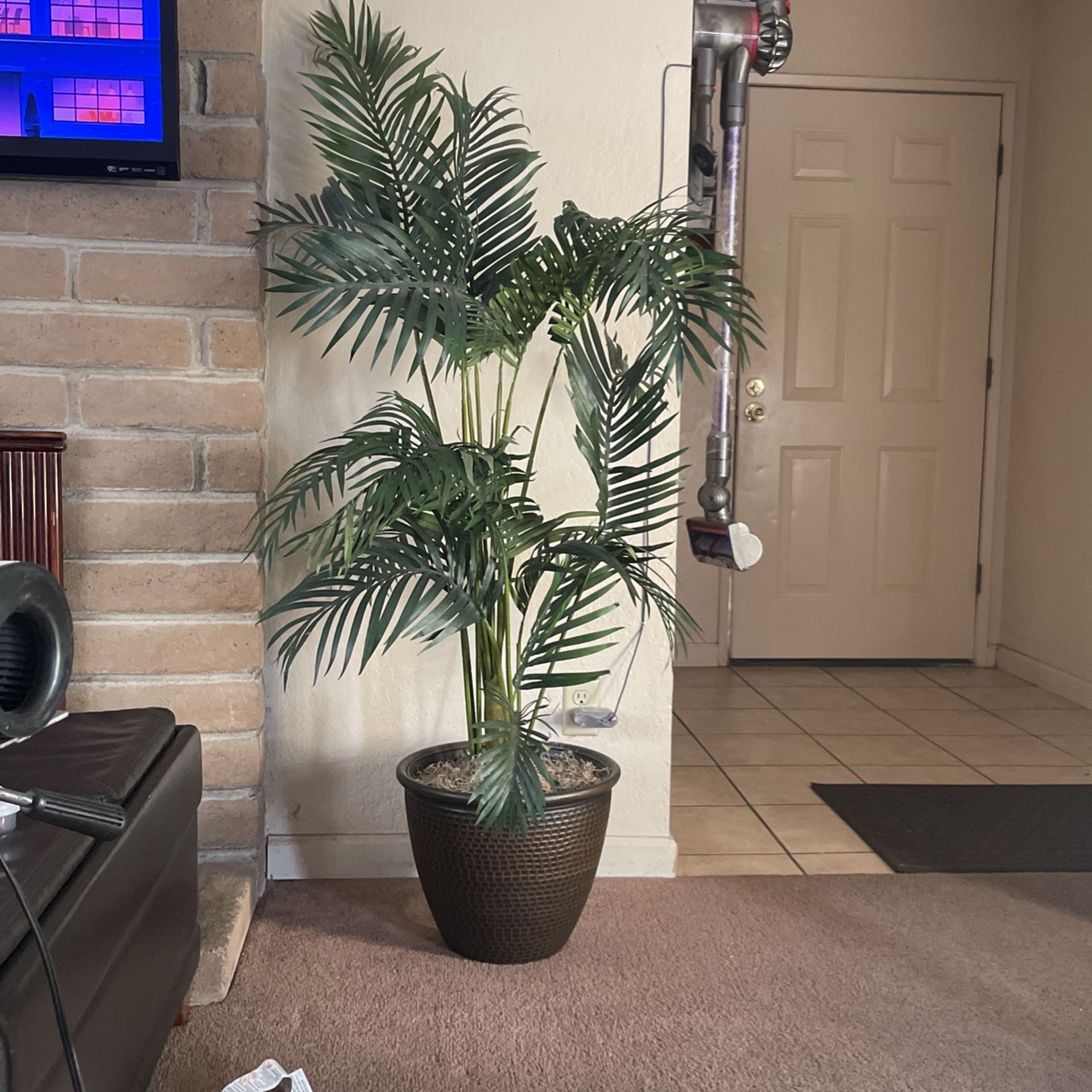 Hobby Lobby Plant Decor