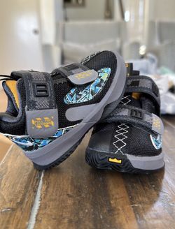 LeBron James baby shoes 2c