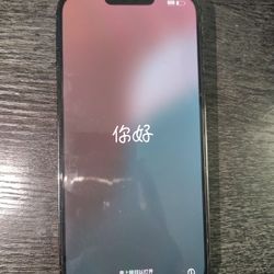 iPhone 13 Pro Max 