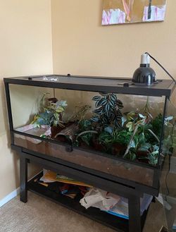 Zoo Med Double Door 40 Gal Reptile Terrarium