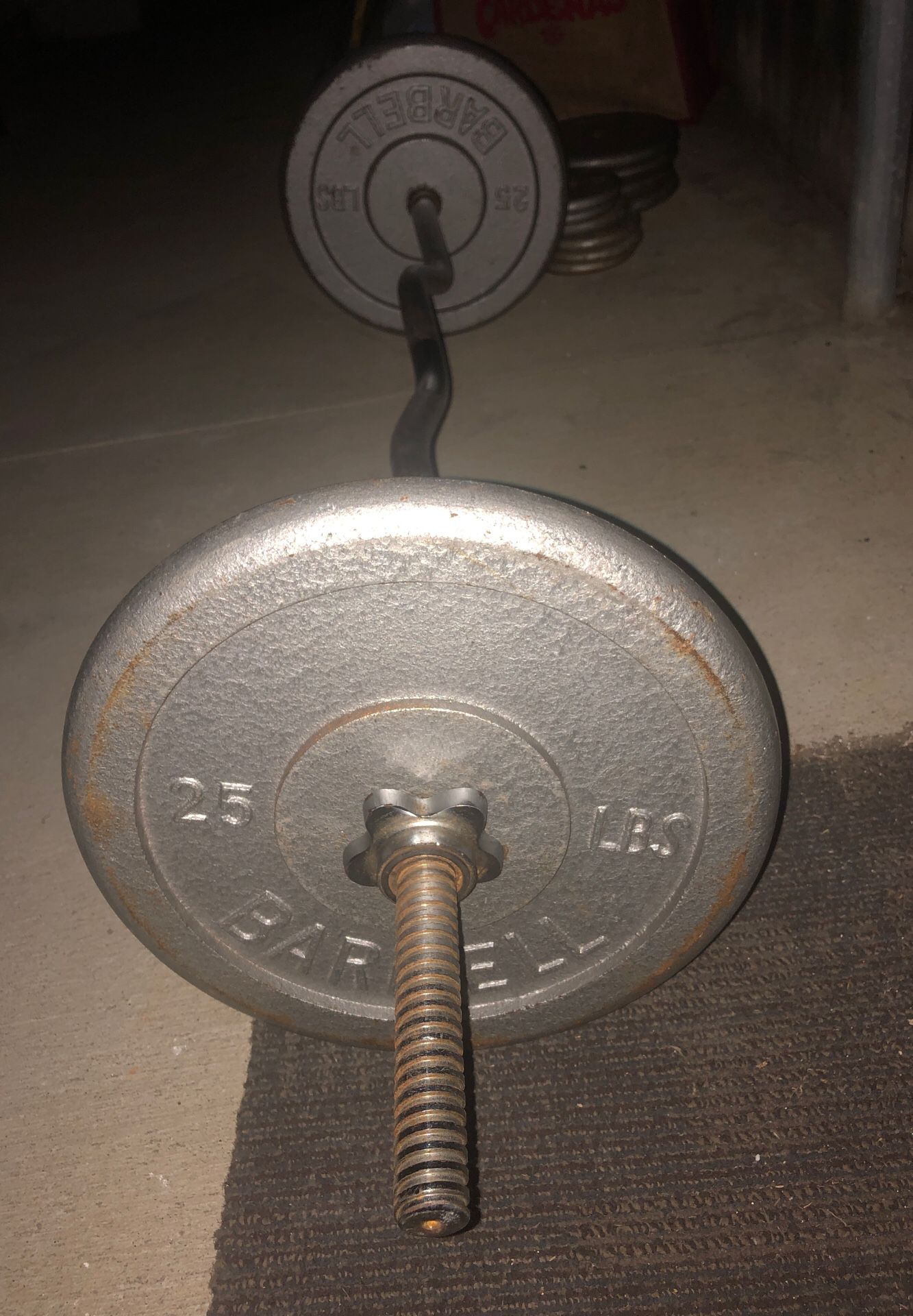 Olympic Curl Barbell with Weights included.