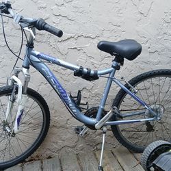 Schwinn Bike