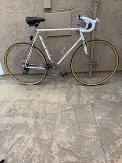 Catalina Road Racing Touring Bike 10 Speed Shimano Falcon New Tires