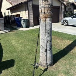 Fishing Pool And Reel 