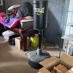 Punching Bag 