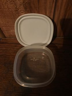 Lil food container wit snap lid
