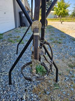 Silver show halter
