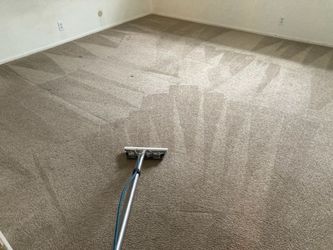 Carpet steam cleaning