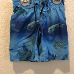 Cute Turtle Swimming Trunks Size 4