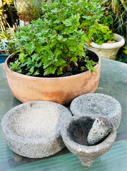 Molcaheté Set and 2 flat plates